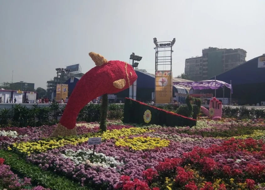 Vanita Vishram Ground Surat